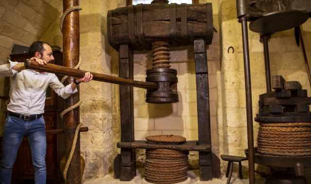 Altamura e il suo Museo del vino, nato all'interno della cinquecentesca "Cantina Frrud"